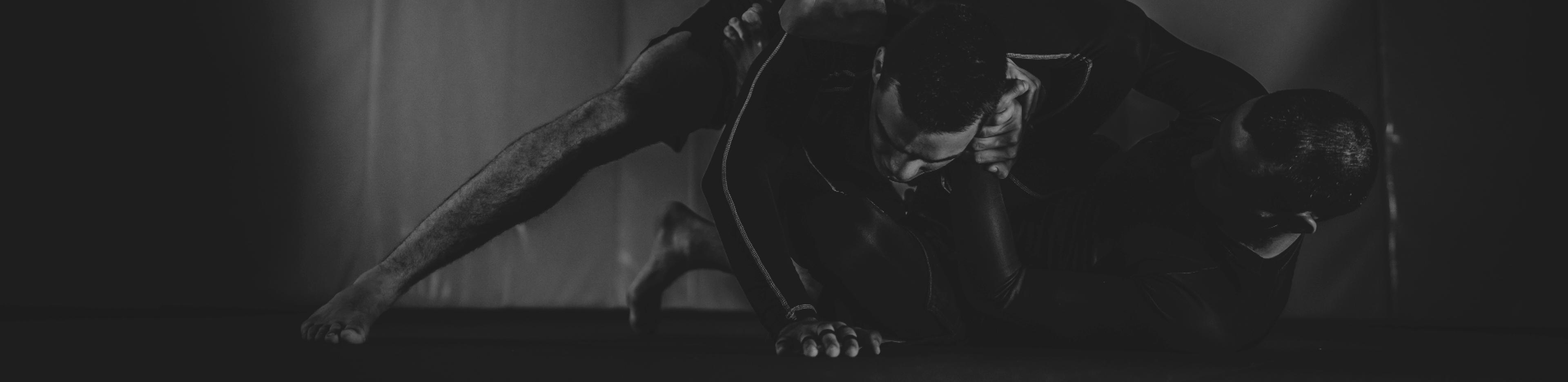 Banner image